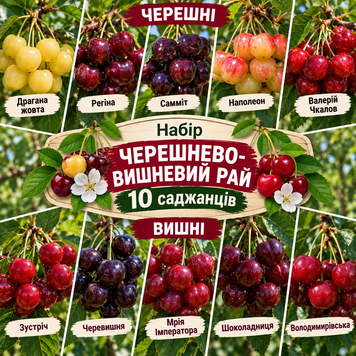 Набір "Черешнево-вишневий рай", 10 саджанців 90005 фото